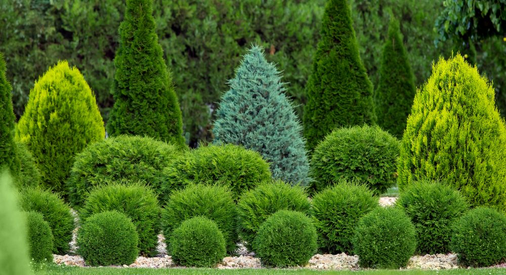 Green Landscaping