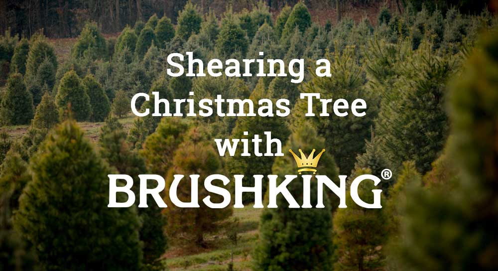 Shearing a Christmas Tree with BrushKing® Industry